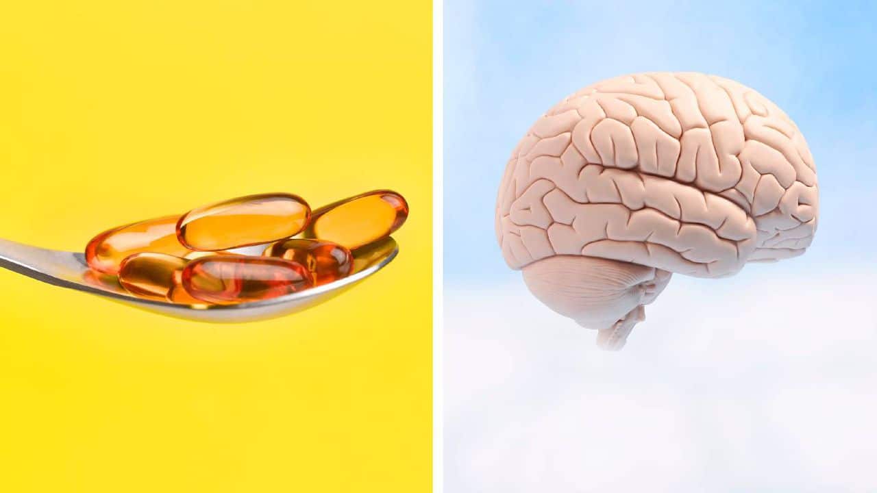 vitaminas para el cerebro para mantener la mente sana y el crebro optimo