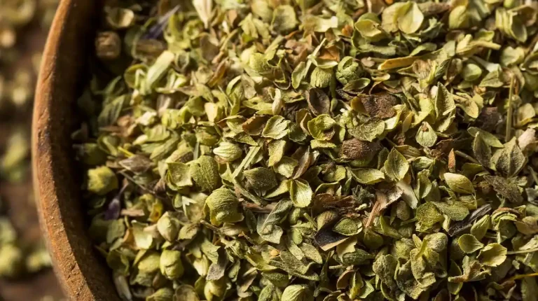 Propiedades del Orégano