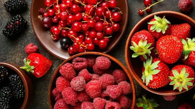 Frutos rojos propiedades