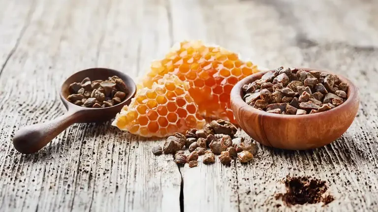 Para qué sirve el propóleo