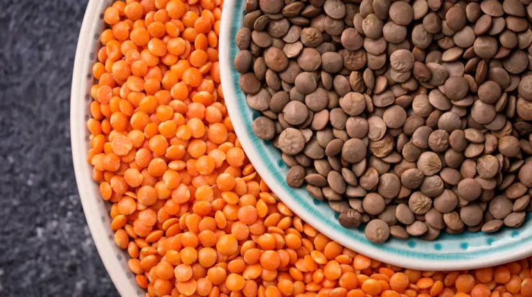 Lentejas propiedades